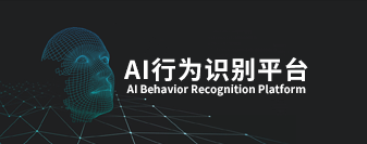 AI视觉智能监控平台